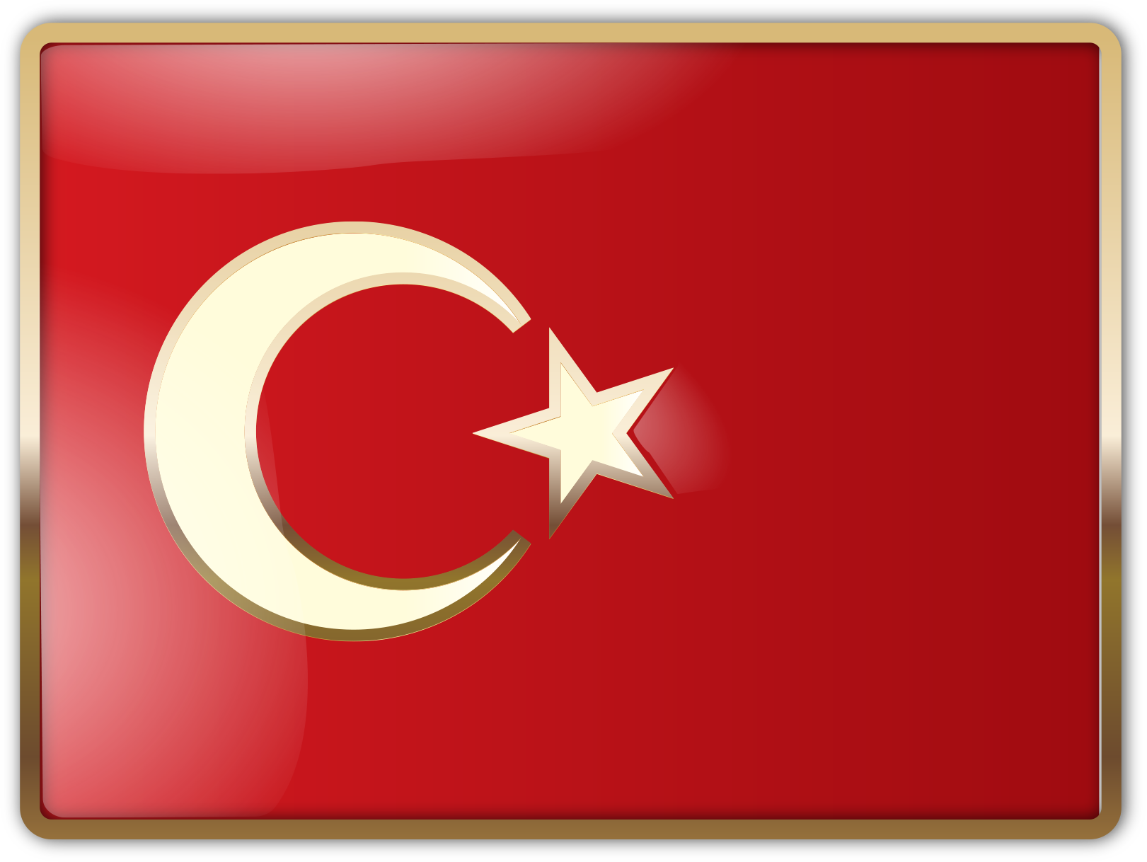 Türkçe